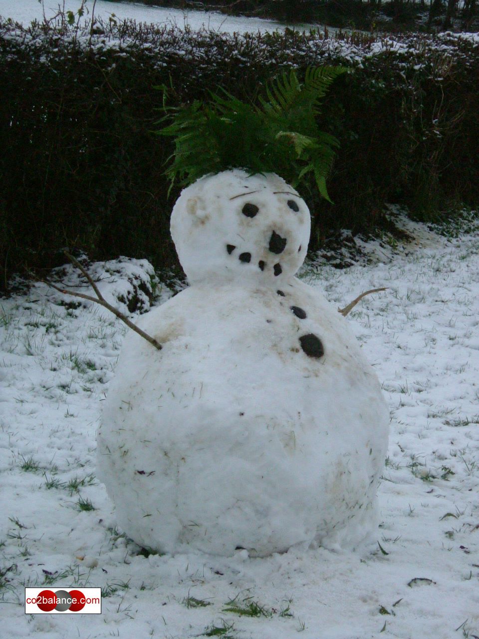 snowman near river snowman near river